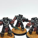 Warhammer Horus Heresy: Space Marines Cataphractii Terminators Old - Well Painted (AN010)