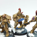 Warhammer 40k: Adeptus Custodes Custodian Guard - Painted (BJ163)