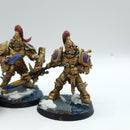 Warhammer 40k: Adeptus Custodes Custodian Guard - Painted (BJ163)