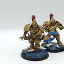 Warhammer 40k: Adeptus Custodes Custodian Guard - Painted (BJ174)