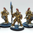Warhammer 40k: Adeptus Custodes Custodian Guard with Adrasite Spears OOP - Painted (BJ175)