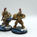 Warhammer 40k: Adeptus Custodes Custodian Guard with Adrasite Spears OOP - Painted (BJ175)