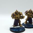 Warhammer 40k: Adeptus Custodes Forge World Sagittarum Guard - Painted (AJ150)