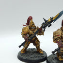 Warhammer 40k: Adeptus Custodes Custodian Guard - Painted (BJ199)