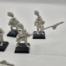 Warhammer Fantasy Dogs of War Ricco's Republican Guard x10 inc Ricco and Command AJ021
