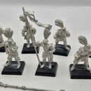 Warhammer Fantasy Dogs of War Ricco's Republican Guard x10 inc Ricco and Command AJ021