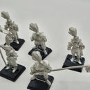 Warhammer Fantasy Dogs of War Ricco's Republican Guard x10 inc Ricco and Command AJ021