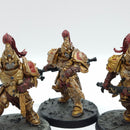 Warhammer 40k: Adeptus Custodes Custodian Guard - Painted (BJ200)