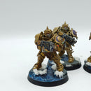 Warhammer 40k: Adeptus Custodes Forge World Sagittarum Guard - Painted (AJ151)