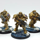 Warhammer 40k: Adeptus Custodes Forge World Sagittarum Guard - Painted (AJ151)