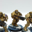 Warhammer 40k: Adeptus Custodes Forge World Sagittarum Guard - Painted (AJ151)