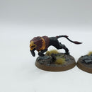 Warhammer Age of Sigmar: Stormcast Eternals Knight Judicator - Well Painted (BC092)