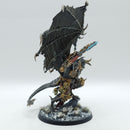 Warhammer Age of Sigmar: Slaves to Darkness Daemon Prince - Well Painted (AQ064)