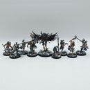 Warhammer Age of Sigmar: Slaves to Darkness Warcry Corvus Cabal - Well Painted (AI144)