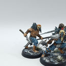 Warhammer Age of Sigmar: Slaves to Darkness Warcry Corvus Cabal - Well Painted (AI144)