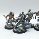 Warhammer Age of Sigmar: Slaves to Darkness Warcry Corvus Cabal - Well Painted (AI144)