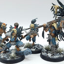 Warhammer Age of Sigmar: Slaves to Darkness Warcry Corvus Cabal - Well Painted (AI144)