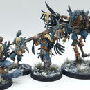 Warhammer Age of Sigmar: Slaves to Darkness Warcry Corvus Cabal - Well Painted (AI144)
