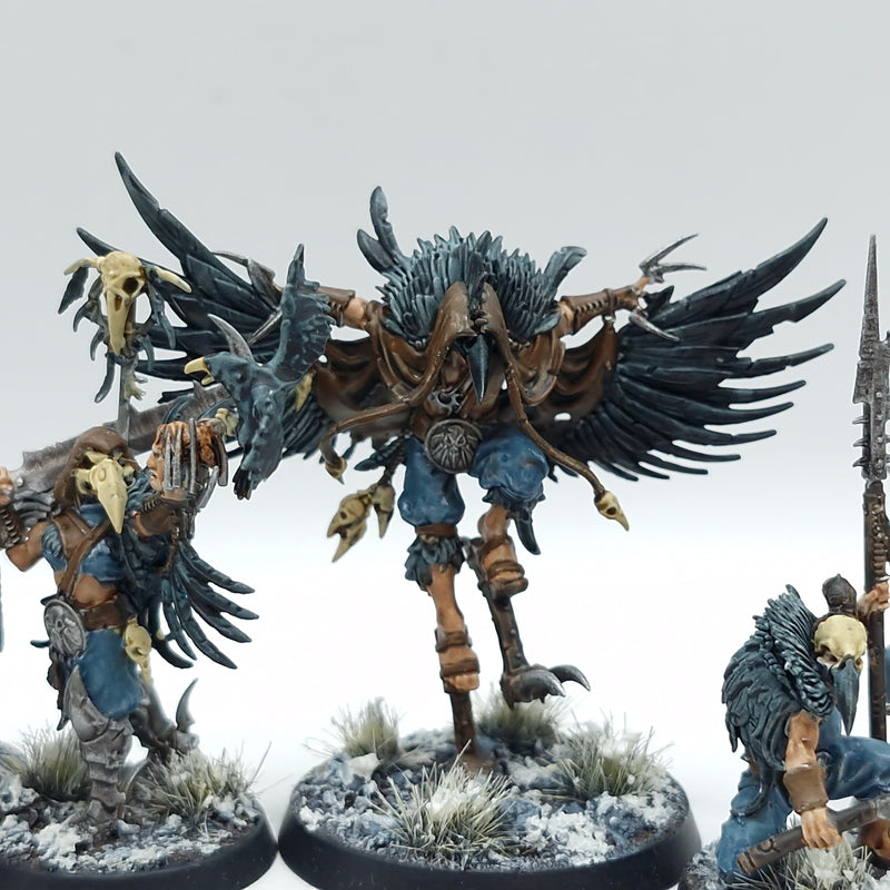 Warhammer Age of Sigmar: Slaves to Darkness Warcry Corvus Cabal