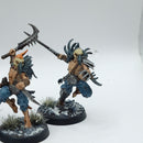 Warhammer Age of Sigmar: Slaves to Darkness Warcry Corvus Cabal - Well Painted (AI144)