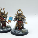 Warhammer Age of Sigmar: Slaves to Darkness Chaos Chosen - Well Painted (AQ120)
