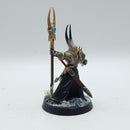 Warhammer Age of Sigmar: Slaves to Darkness Chaos Lord and Sorcerer - Well Painted (AQ104)