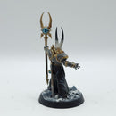 Warhammer Age of Sigmar: Slaves to Darkness Chaos Lord and Sorcerer - Well Painted (AQ104)