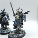 Warhammer Age of Sigmar: Slaves to Darkness Chaos Knights - Well Painted (AR006)