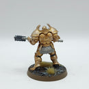 Warhammer Age of Sigmar: Stormcast Eternals Annihilators - Well Painted (AE181)