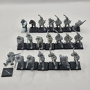 Warhammer Fantasy Empire Handgunners x20 AW084