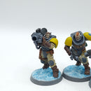 Warhammer 40k: Space Marine Space Wolves Scouts - Painted (AQ114)