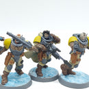Warhammer 40k: Space Marine Space Wolves Scouts - Painted (AQ114)