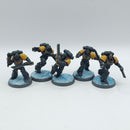 Warhammer 40k: Space Marine Space Wolves Blood Claws - Painted (AM006)