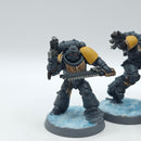 Warhammer 40k: Space Marine Space Wolves Blood Claws - Painted (AM006)