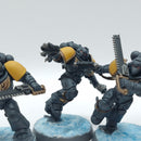 Warhammer 40k: Space Marine Space Wolves Blood Claws - Painted (AM006)