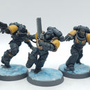 Warhammer 40k: Space Marine Space Wolves Blood Claws - Painted (AM006)