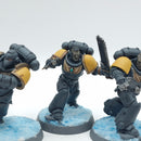 Warhammer 40k: Space Marine Space Wolves Blood Claws - Painted (AM006)