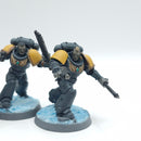 Warhammer 40k: Space Marine Space Wolves Blood Claws - Painted (AM006)