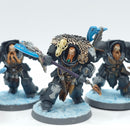 Warhammer 40k: Space Marine Space Wolves Wolf Guard Terminators - Painted (AQ116)