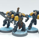 Warhammer 40k: Space Marine Space Wolves Blood Claws - Painted (AI138)