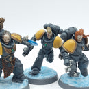 Warhammer 40k: Space Marine Space Wolves Blood Claws - Painted (AI138)