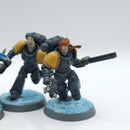 Warhammer 40k: Space Marine Space Wolves Blood Claws - Painted (AI138)
