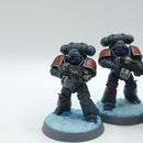 Warhammer 40k: Space Marine Intercessors - Painted (AQ115)