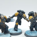 Warhammer 40k: Space Marine Space Wolves Blood Claws - Painted (AC185)