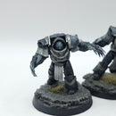 Warhammer Horus Heresy: Space Marine Raven Guard Terminators and Praetor - Painted (AT126)