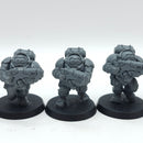 Warhammer 40k: Leagues of Votann Hearthkyn Warriors (AZ233)