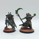 Warhammer 40k: Necron Royal Warden and Overlord - Painted (AF126)
