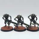 Warhammer 40k: Necron Warriors - Painted (BC019)