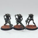 Warhammer 40k: Necron Warriors - Painted (AH098)