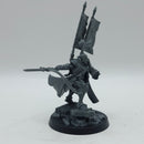 Warhammer 40k: Aeldari Eldar Corsairs Kharseth and Prince Yriel (AC095)